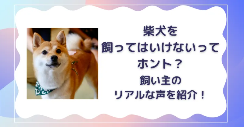 柴犬 飼ってはいけない
