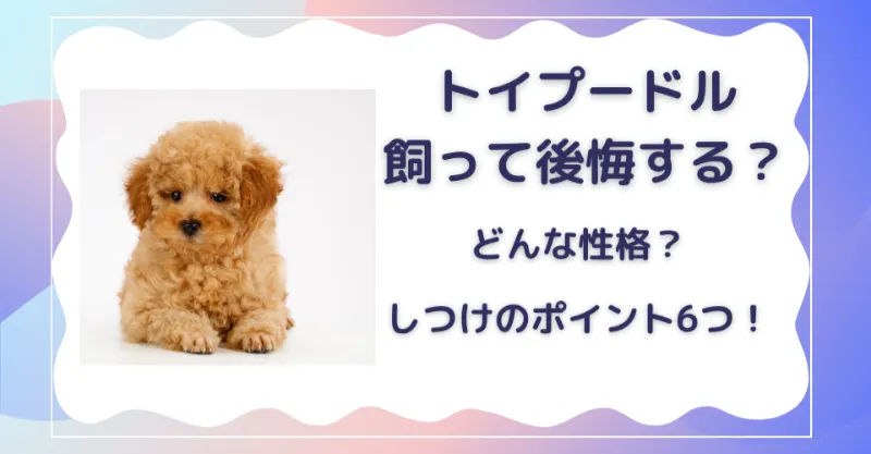 トイプードル　飼って後悔