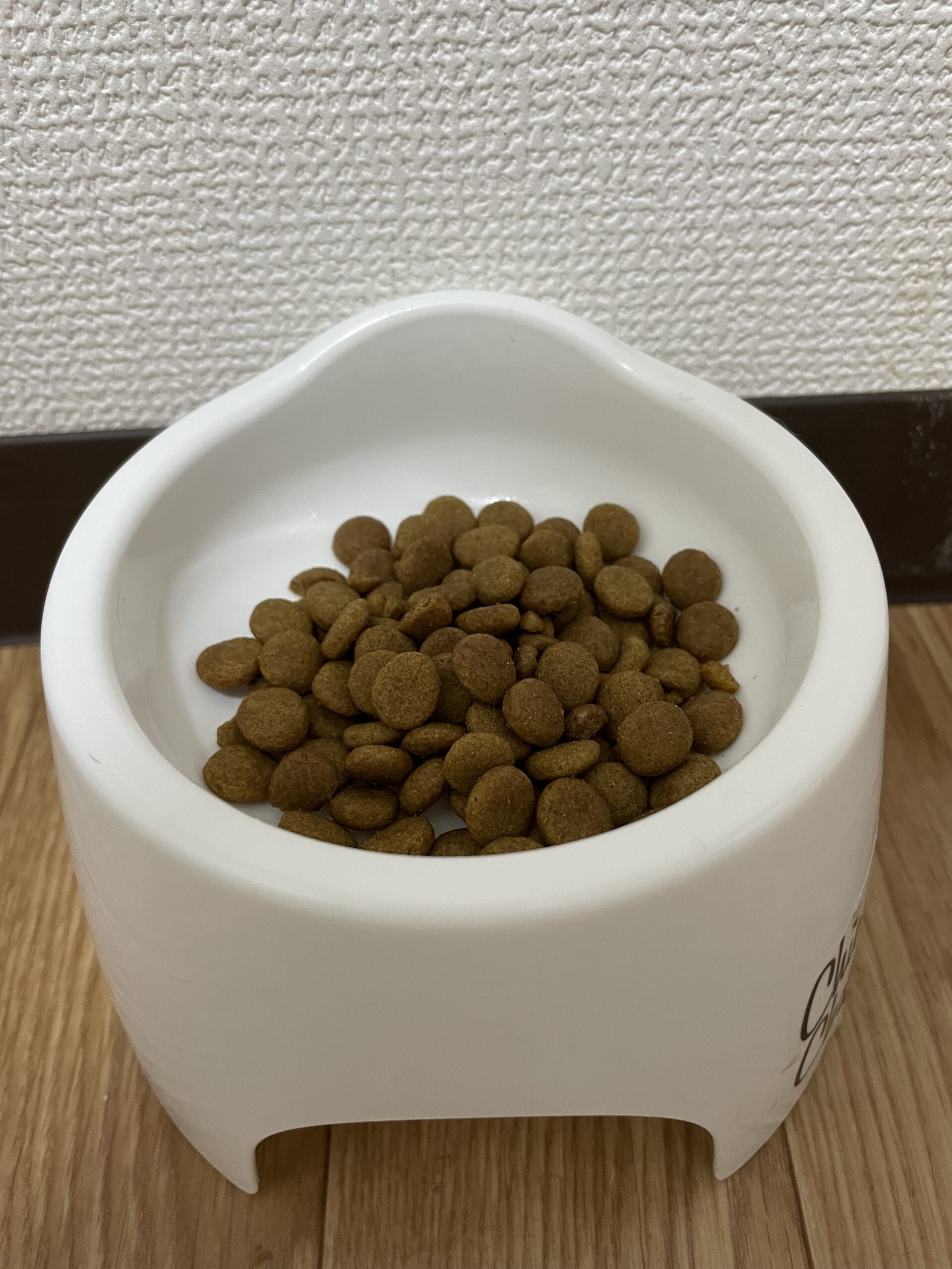 食べてはいけないキャットフード